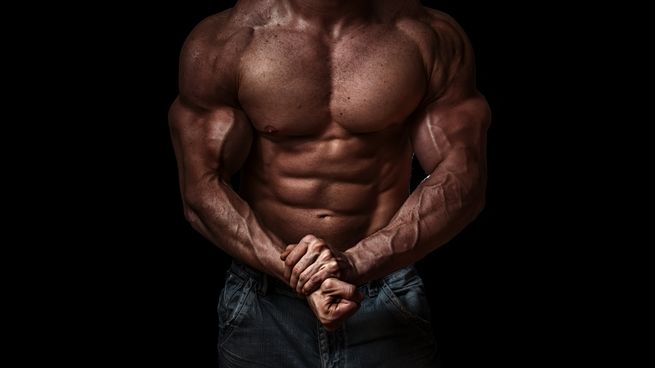 Steroid Action: Comprendere l'Azione degli Steroidi nel Corpo Umano